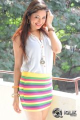 Shilpi Sharma at Green Signal Movie Press Meet
